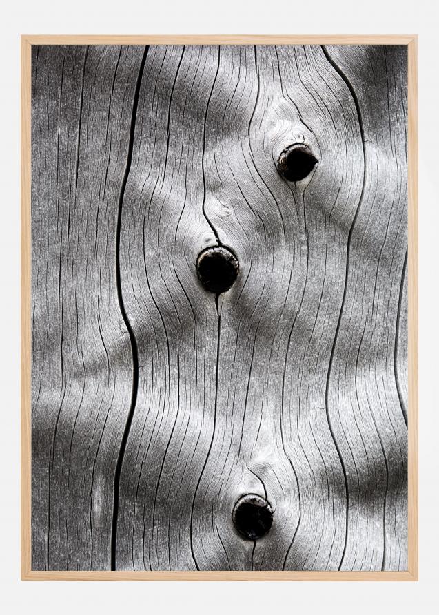 Tree Trunk Poster