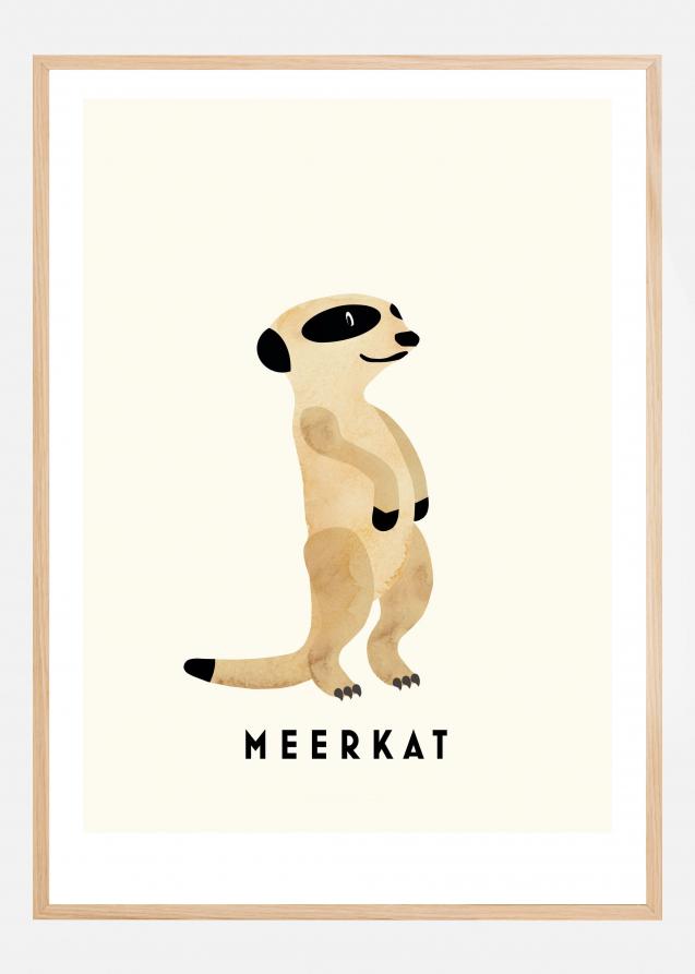 Meerkat Poster
