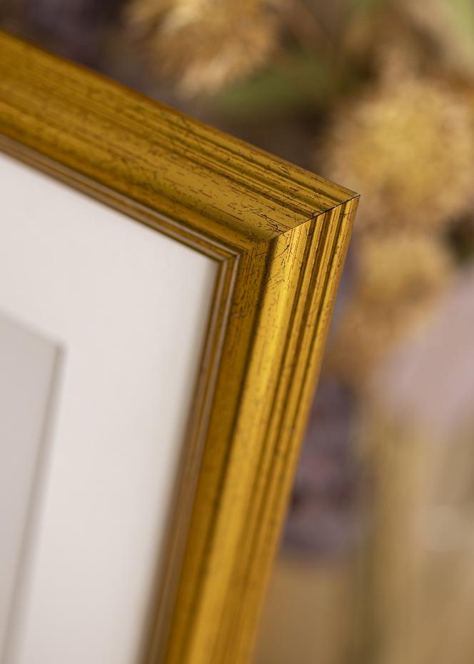 Rahmen Vstkusten Acrylglas Gold 32,9x48,3 cm (A3+)