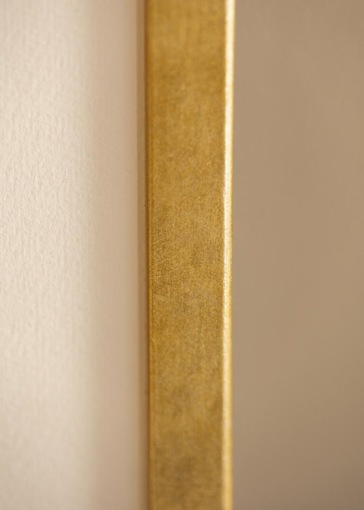 Rahmen Ares Acrylglas Gold 40x50 cm