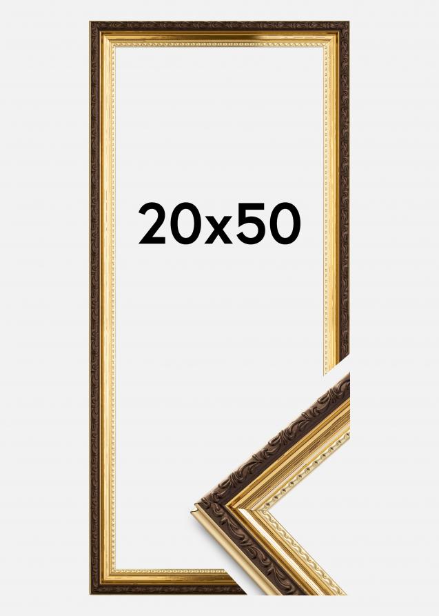Rahmen Abisko Acrylglas Gold 20x50 cm