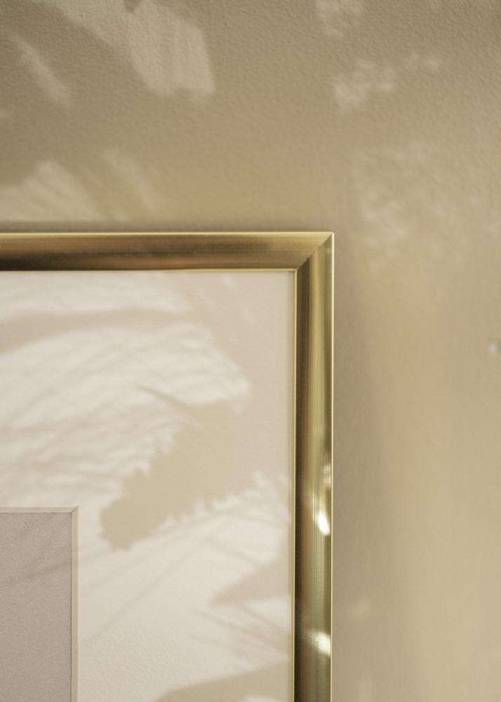 Rahmen Poster Frame Aluminum Acrylglass Gold 61x91,5 cm