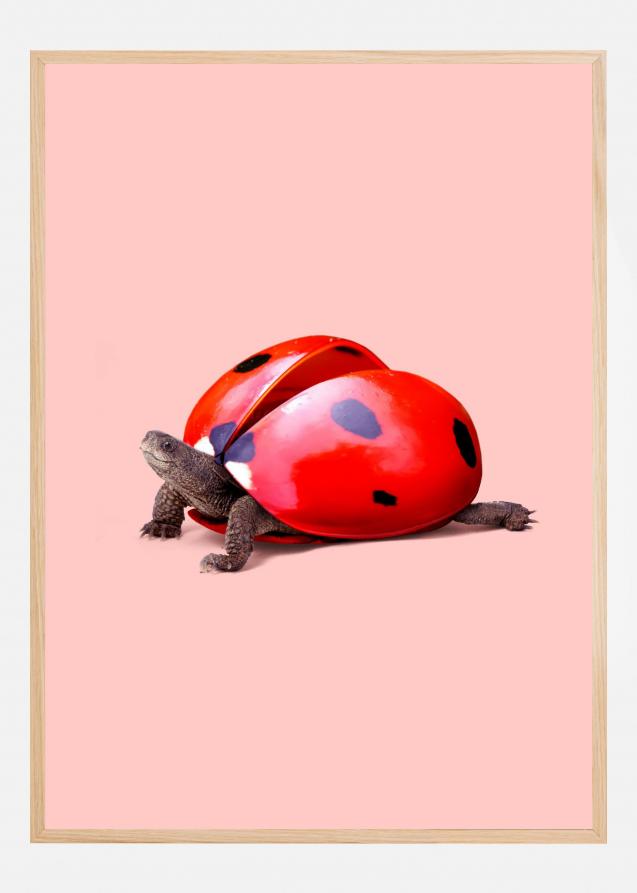 Ladybug Turtle Poster