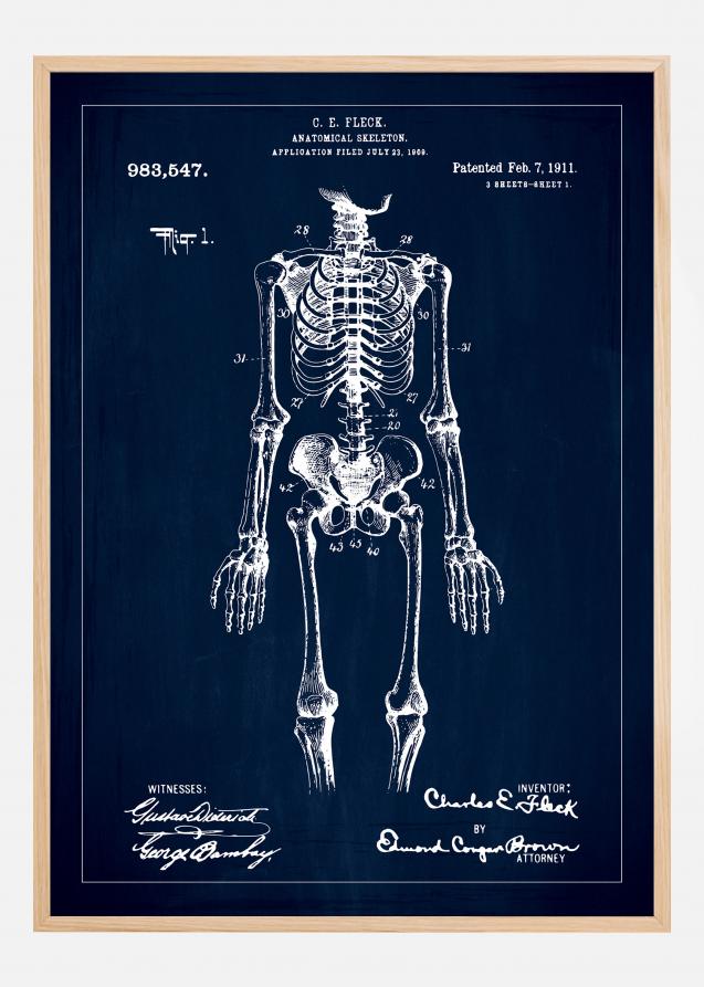 Patentzeichnung - Anatomisches Skelett I - Blau Poster