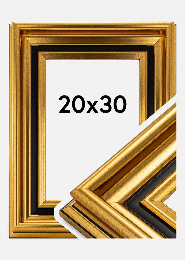 Rahmen Gysinge Premium Gold 20x30 cm