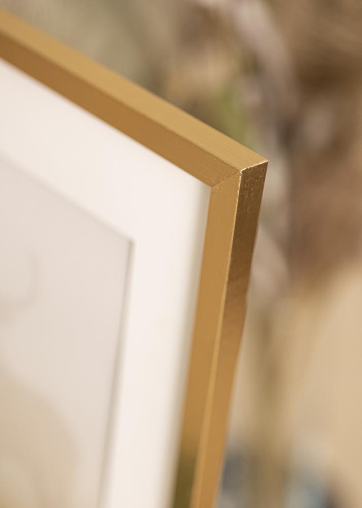Rahmen Trendy Acrylglas Gold 42x59,4 cm (A2)