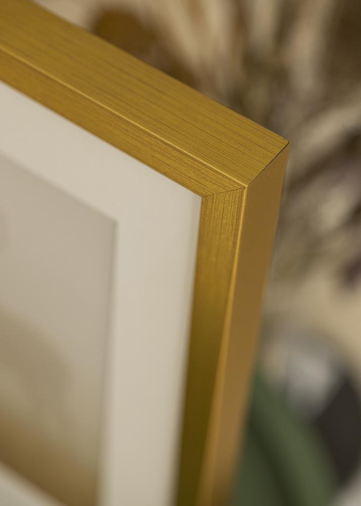 Rahmen Falun Acrylglas Gold 40x50 cm