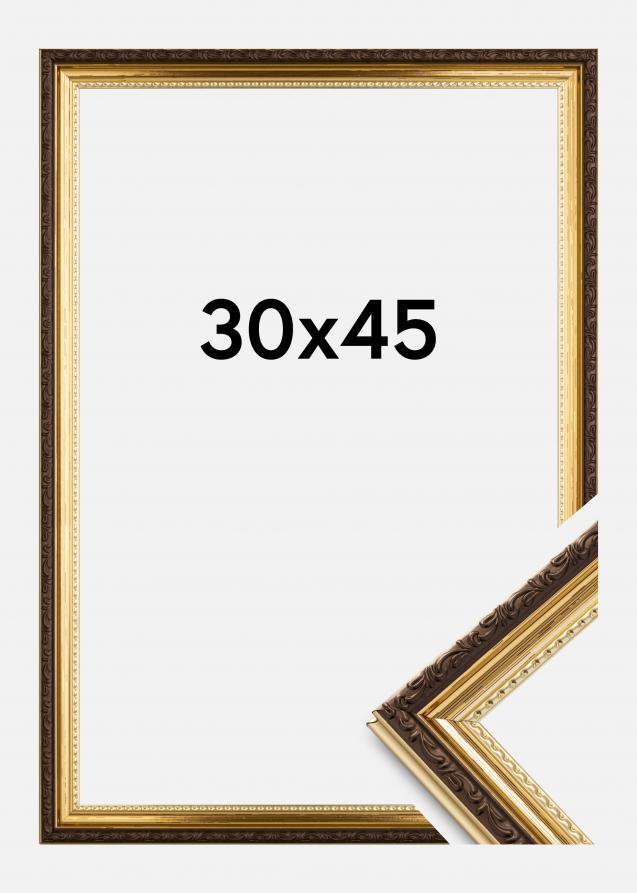 Rahmen Abisko Acrylglas Gold 30x45 cm