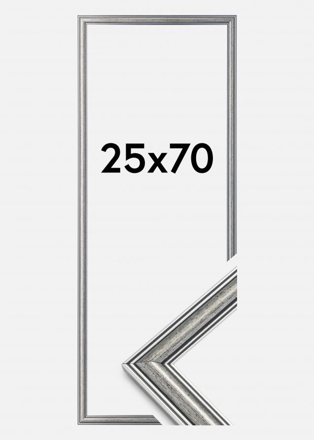 Rahmen Frigg Silber 25x70 cm