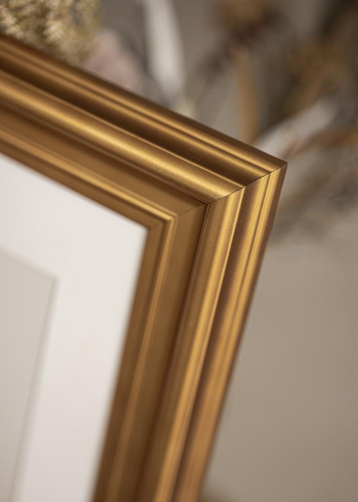 Rahmen Mora Premium Acrylglas Gold 30x40 cm