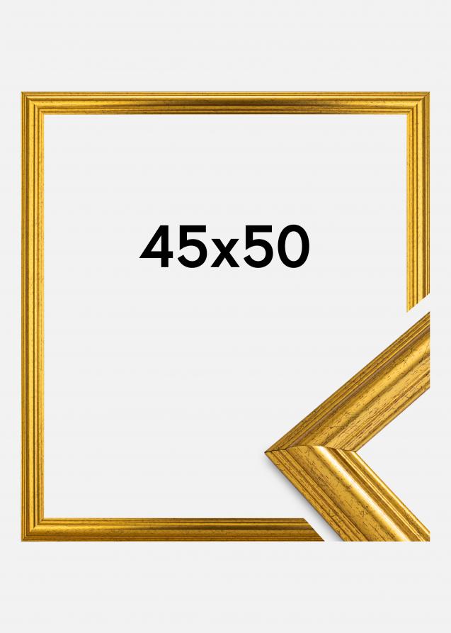 Rahmen Västkusten Acrylglas Gold 45x50 cm