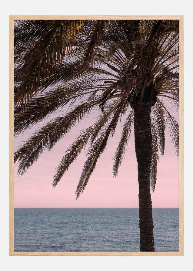 Palm Beach I Poster