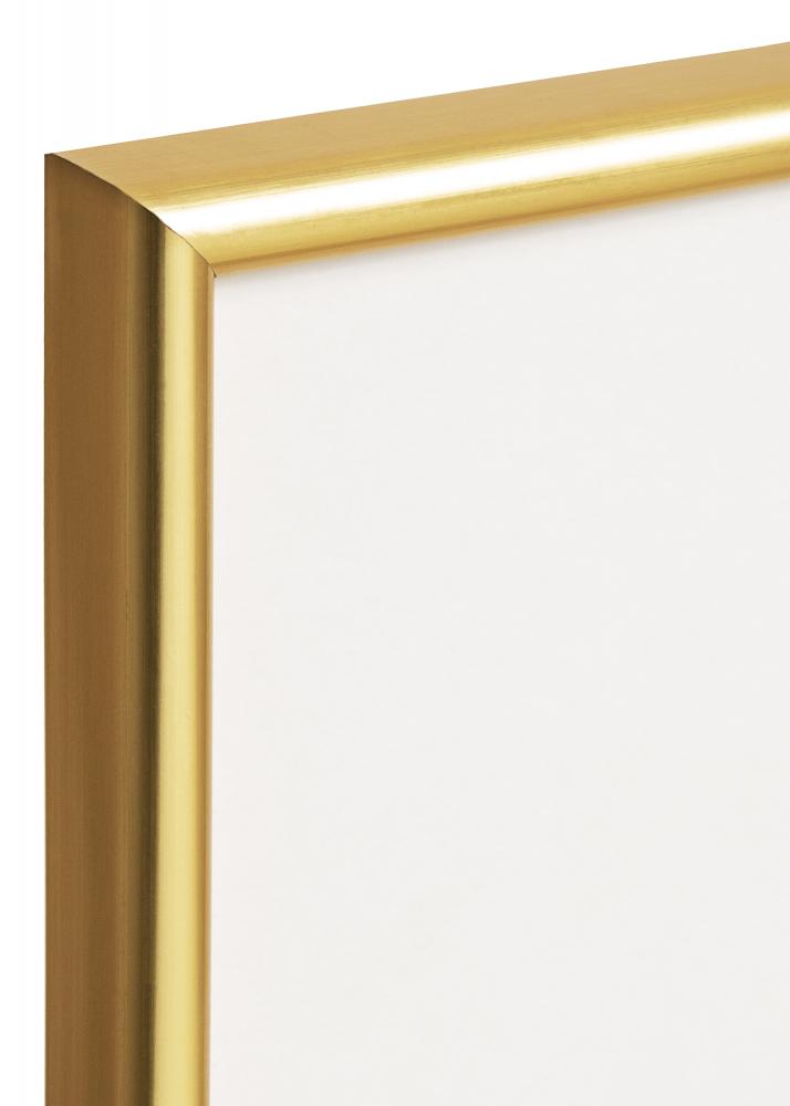 Rahmen Decoline Acrylglas Gold 60x80 cm