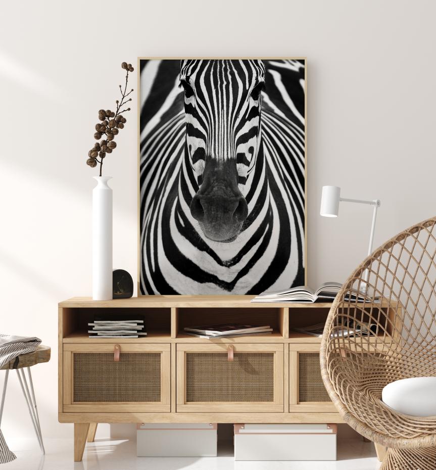 Zebra Poster