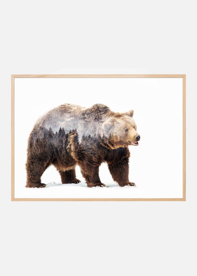 Bear Poster