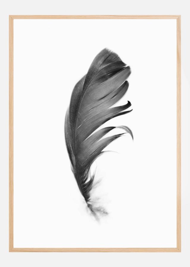 Feather Poster