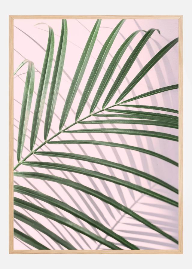 Palm Leaf Shadow Poster