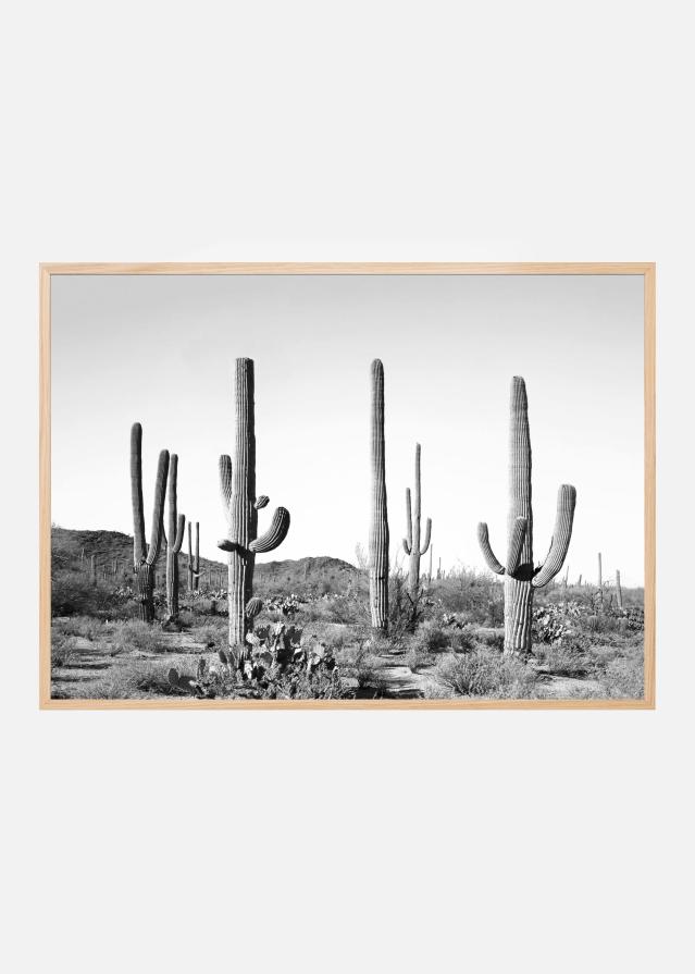 Grey Cactus Land Poster