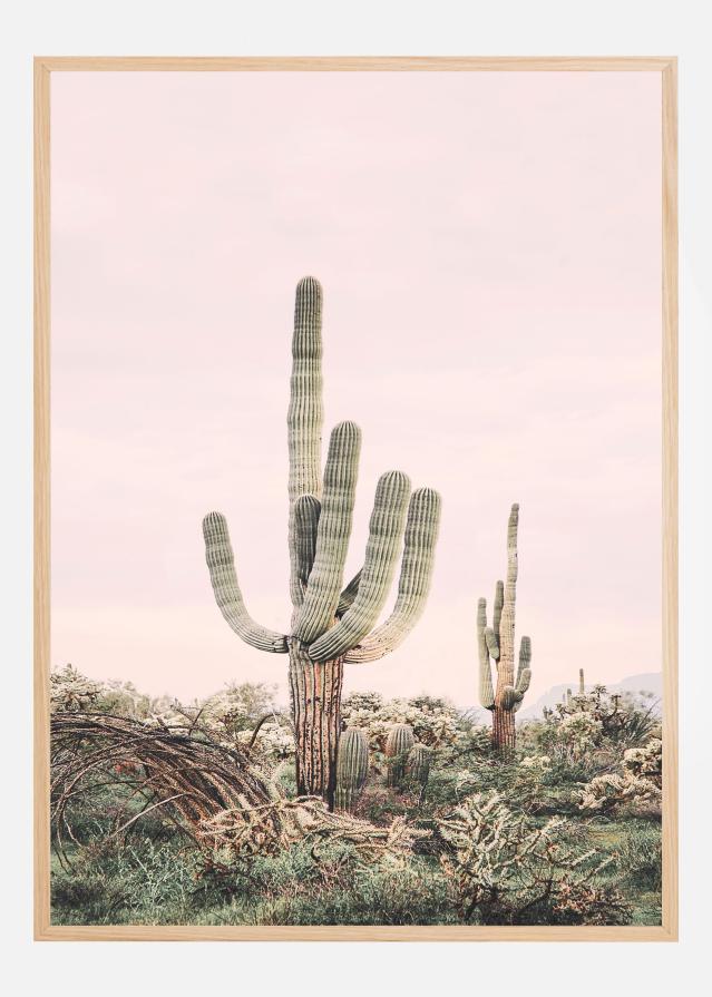 Pink Saguaro Poster