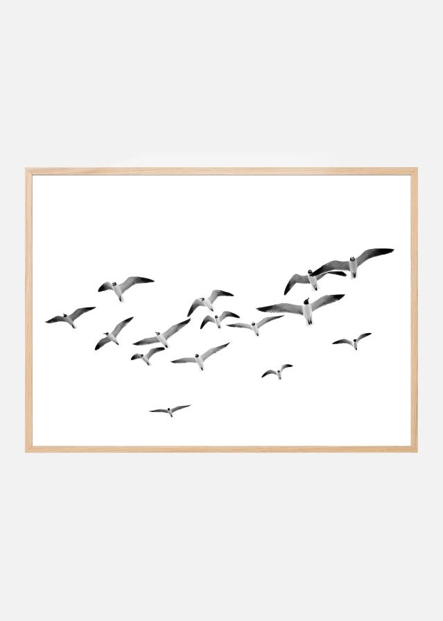 Flying Birds Poster