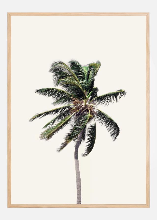 Windy Palm Tree Poster