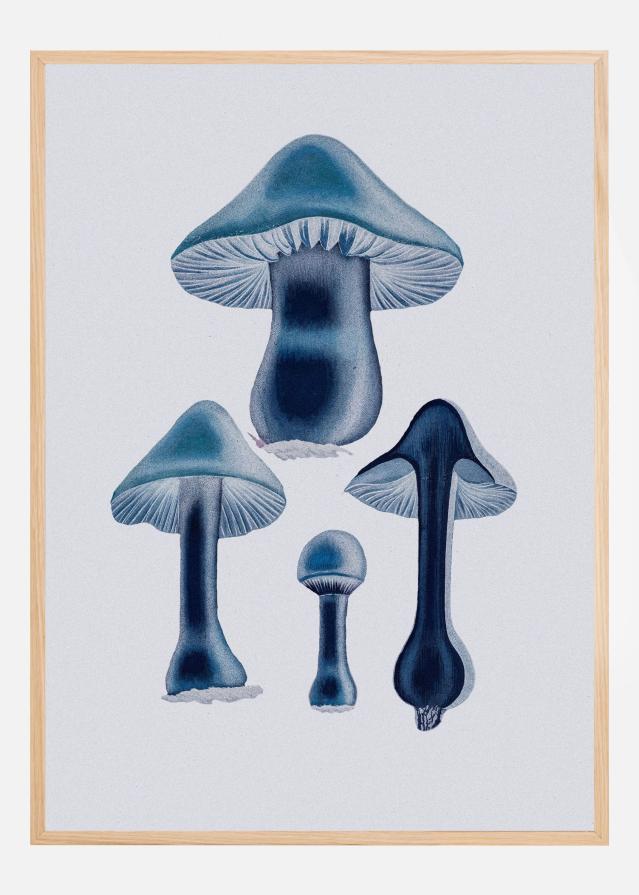 Agaricus Bulbosus - Blue Poster