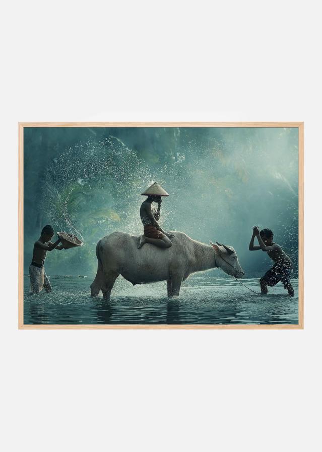 Water Buffalo Poster