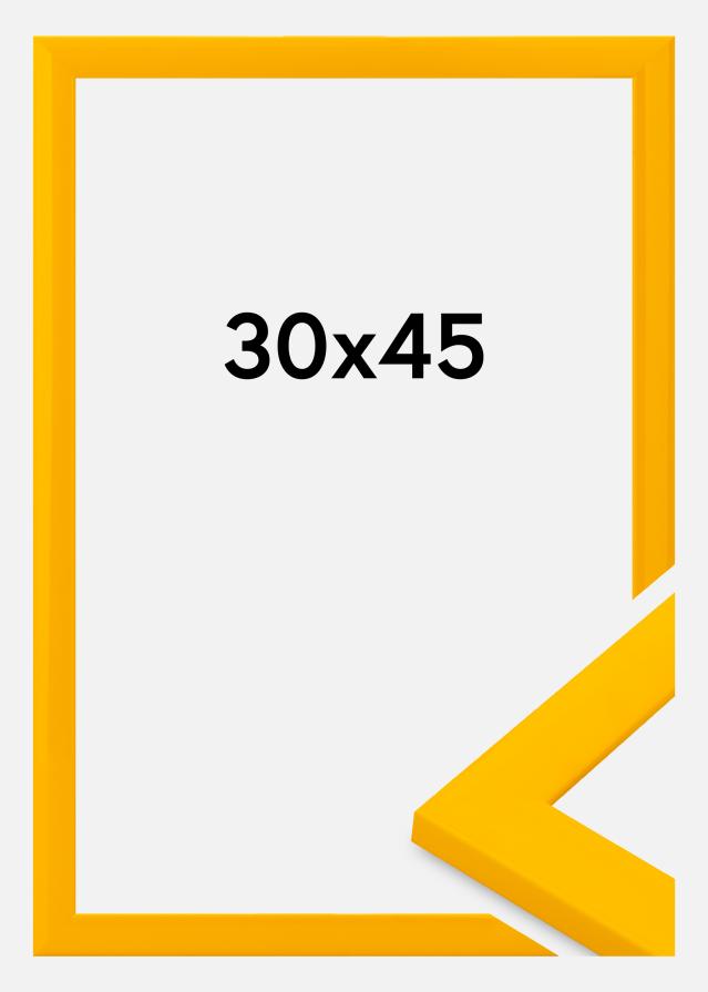 Rahmen Dorset Acrylglas Gold 30x45 cm