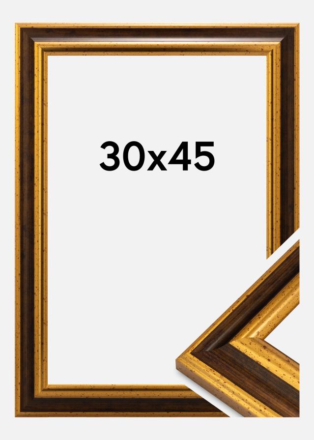 Rahmen Aberystwyth Acrylglas Gold 30x45 cm