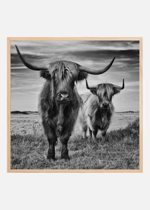 Highlands Poster