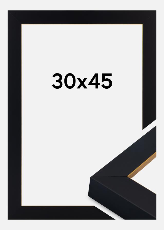 Rahmen Sussex Acrylglas Schwarz/Gold 30x45 cm