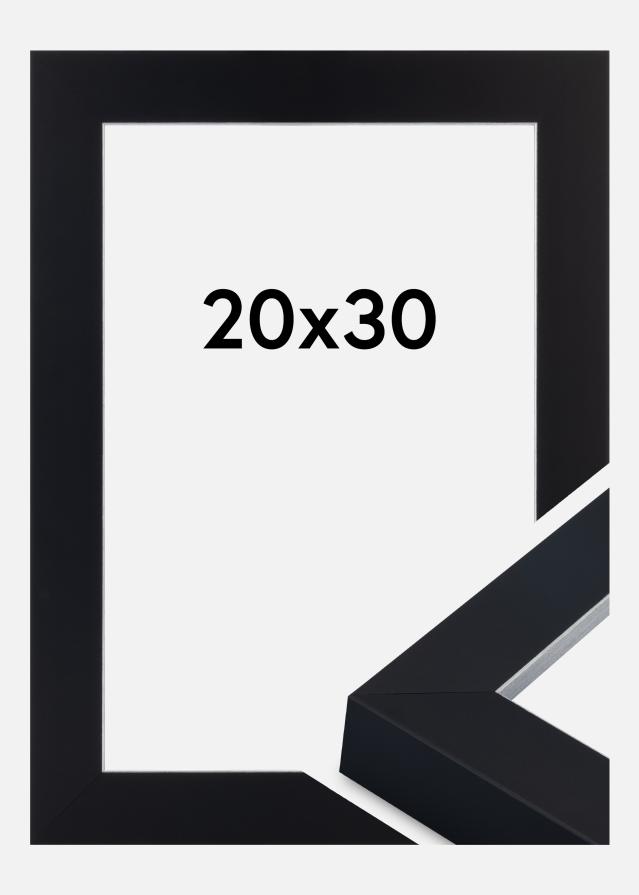 Rahmen Sussex Acrylglas Schwarz/Silber 20x30 cm