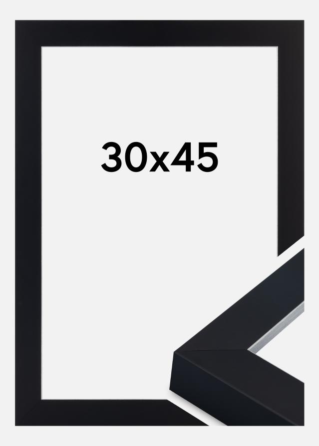 Rahmen Sussex Acrylglas Schwarz/Silber 30x45 cm