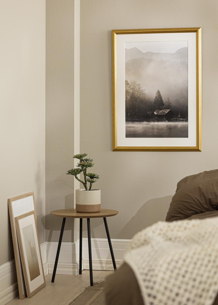 Rahmen Västkusten Acrylglas Gold 12x36 inches (30,48x91,44 cm)