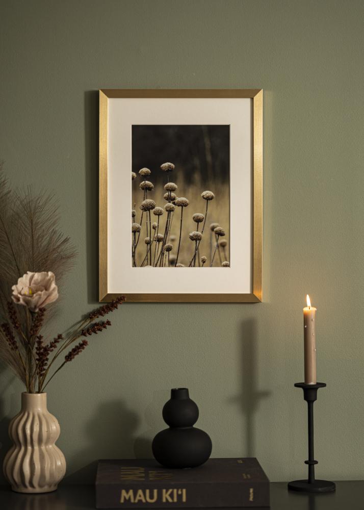 Rahmen Selection Acrylglas Gold 40x40 cm