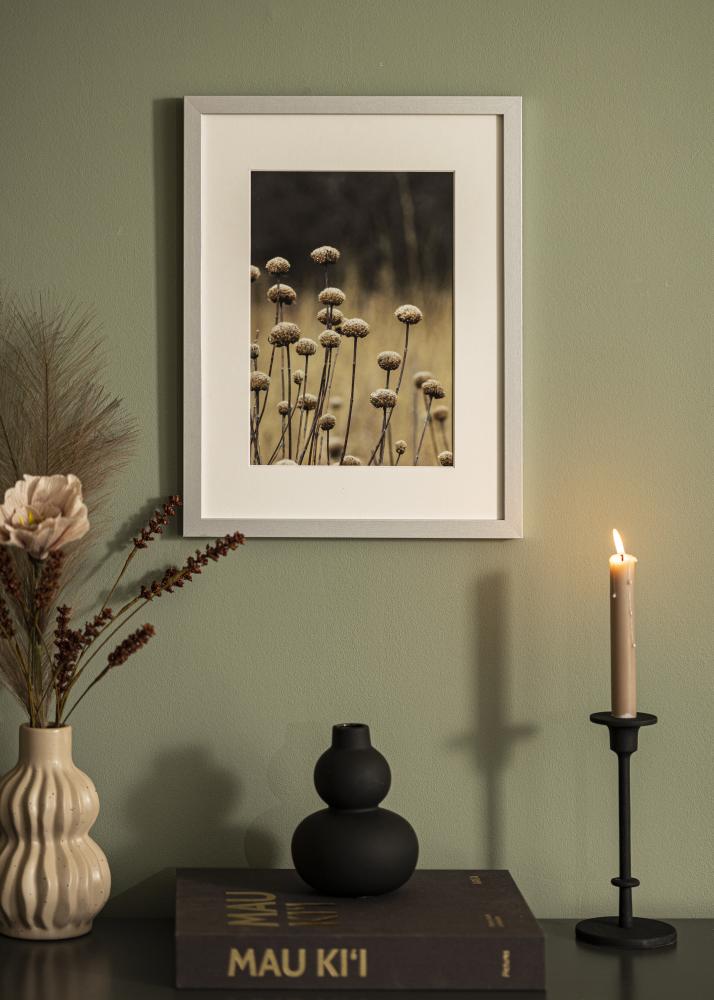 Rahmen Selection Acrylglas Silber 12x36 inches (30,48x91,44 cm)