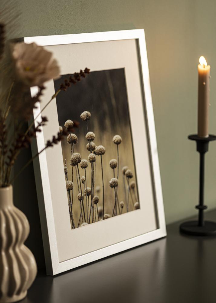 Rahmen Selection Acrylglas Silber 12x36 inches (30,48x91,44 cm)