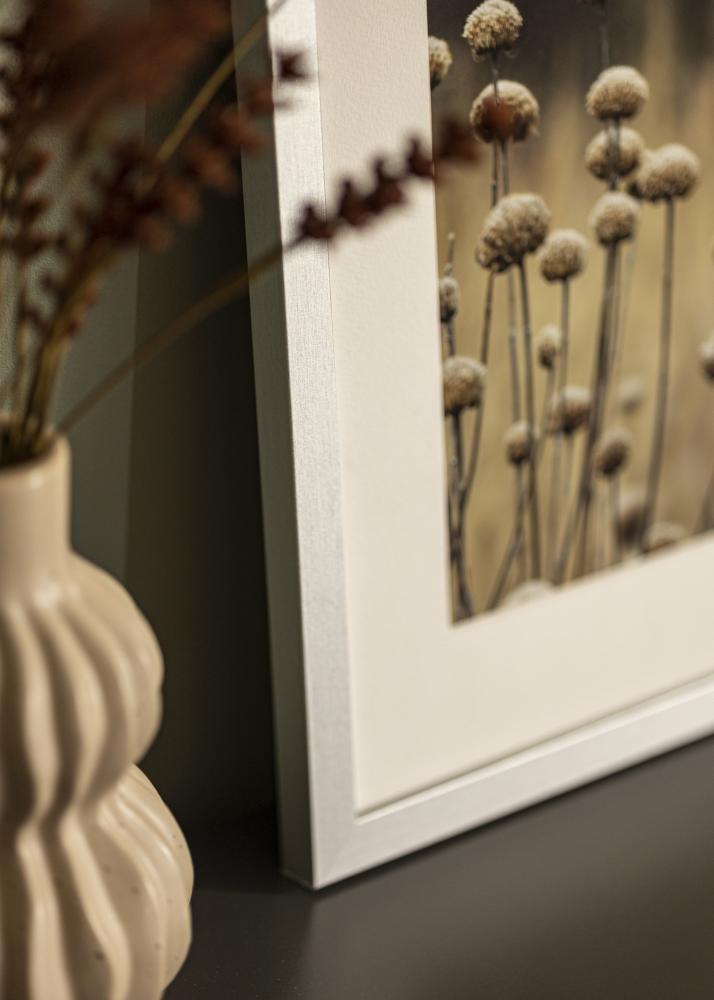 Rahmen Selection Acrylglas Silber 12x36 inches (30,48x91,44 cm)