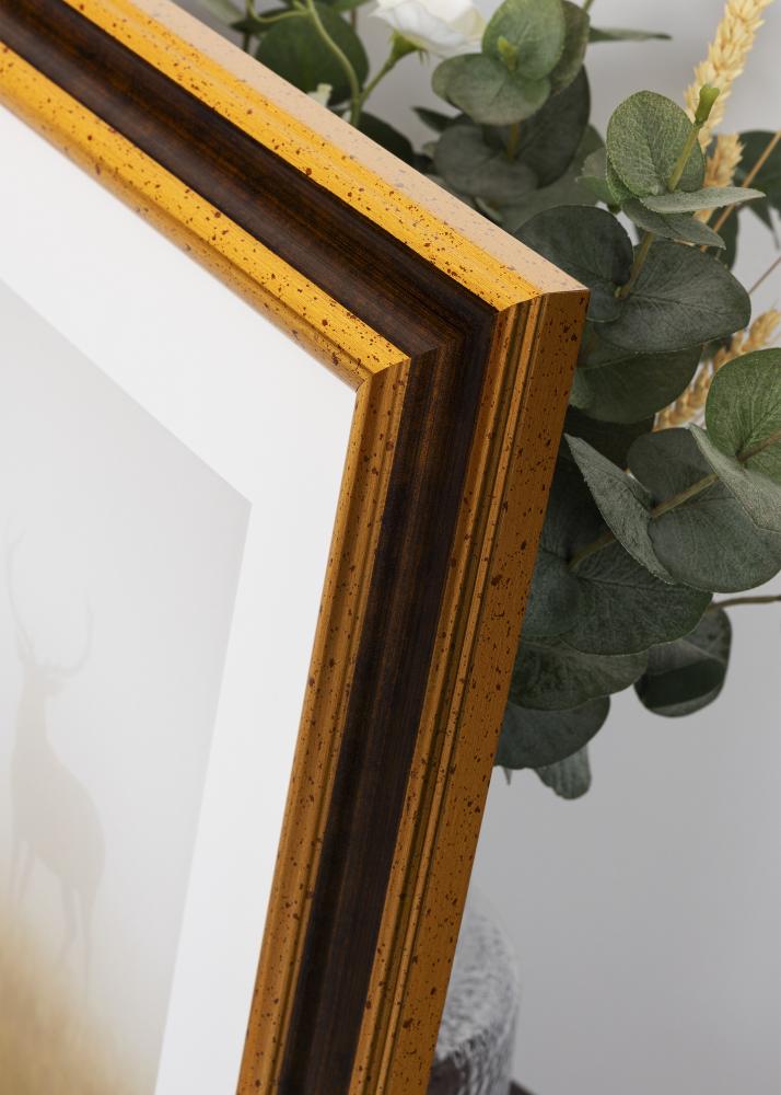 Rahmen Aberystwyth Acrylglas Gold 59.4x84 cm (A1)