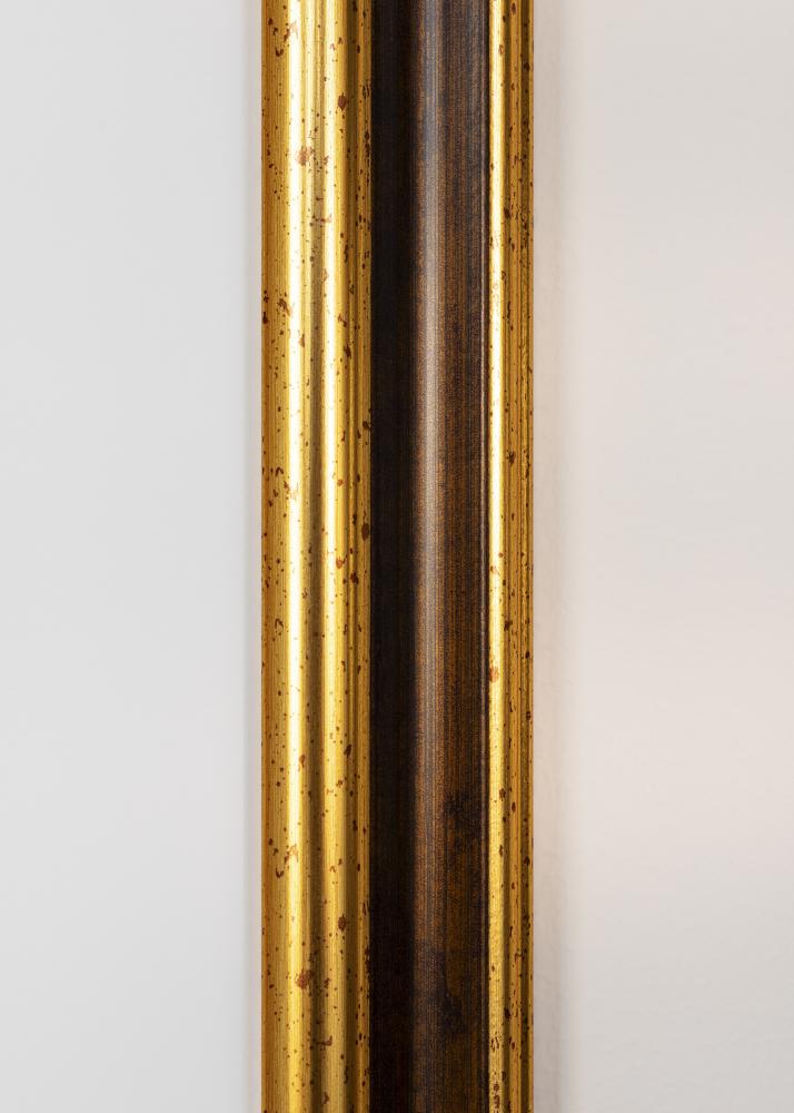 Rahmen Aberystwyth Acrylglas Gold 59.4x84 cm (A1)