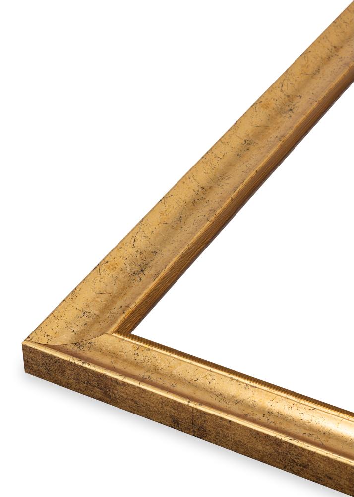 Rahmen Conca Acrylglas Gold 40x40 cm