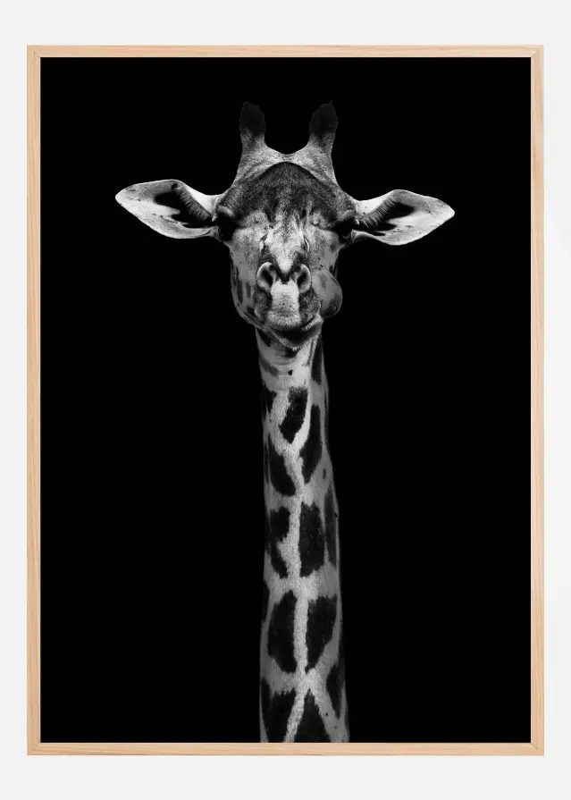 Giraffe Portrait Poster