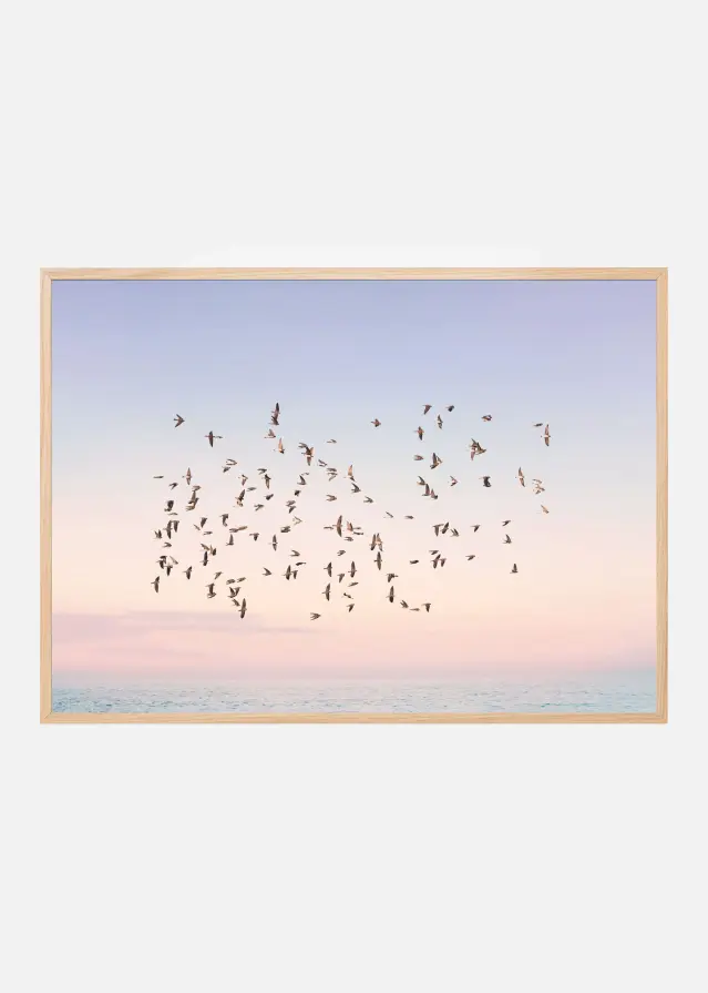 Sunset Flight Poster