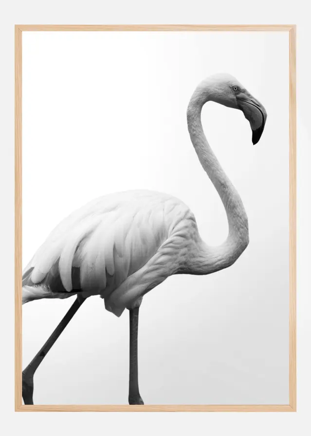 Dancer Poster