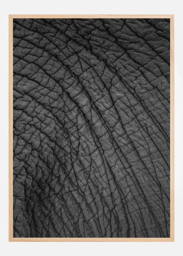 Olifant 03 Poster
