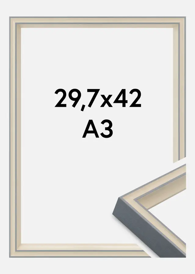 Rahmen Riga Acrylglas Grau 29.7x42 cm (A3)