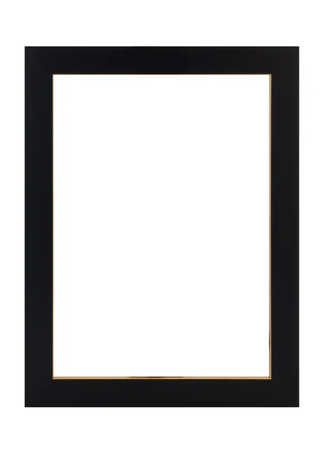 Rahmen Sussex Acrylglas Schwarz/Gold 30x30 cm