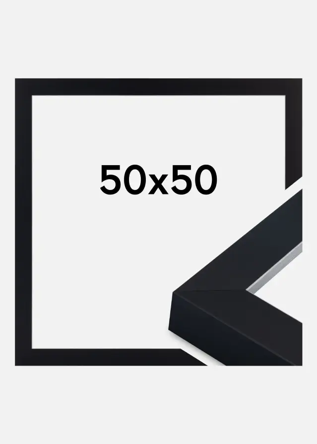 Rahmen Sussex Acrylglas Schwarz/Silber 50x50 cm