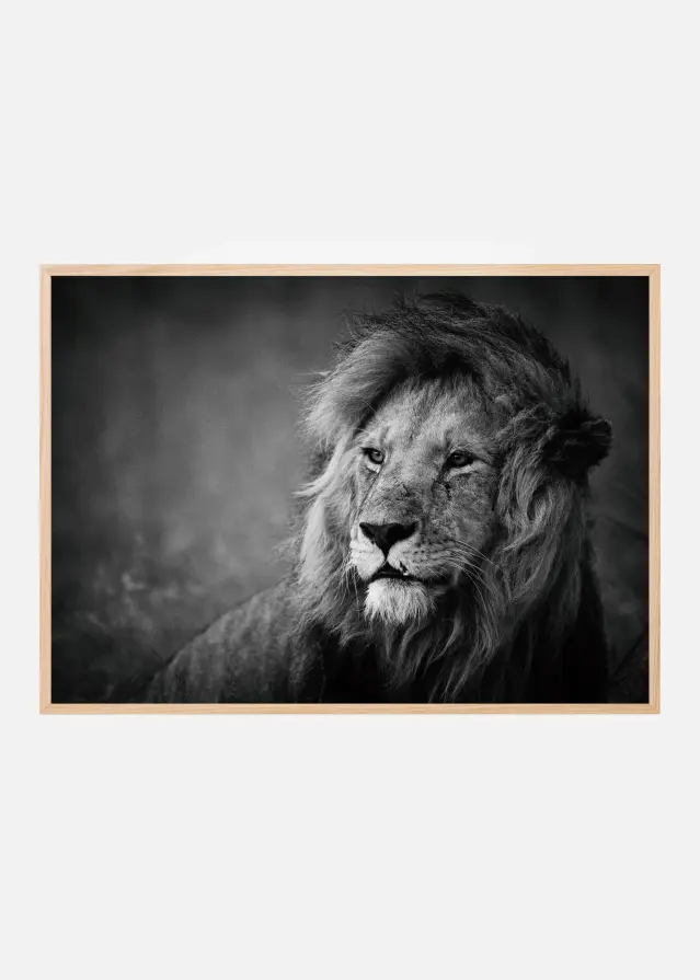 Regal Poster
