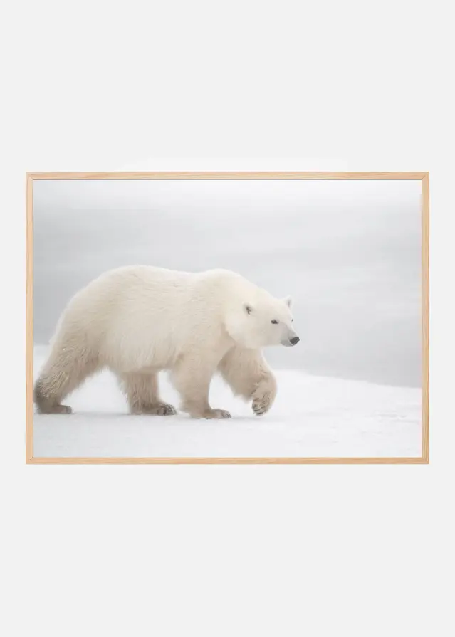 White Poster